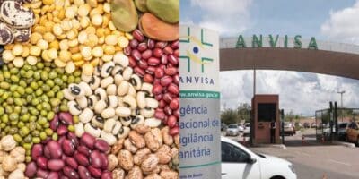 ANVISA proíbe venda de 2 marcas populares de feijão por risco à saúde - Foto: Internet