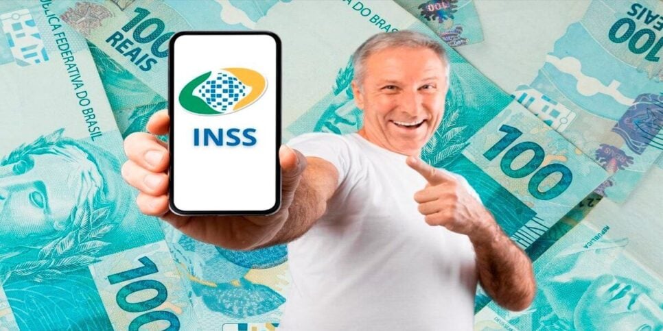 Meu INSS conta com todas as informações (Reprodução: Internet)