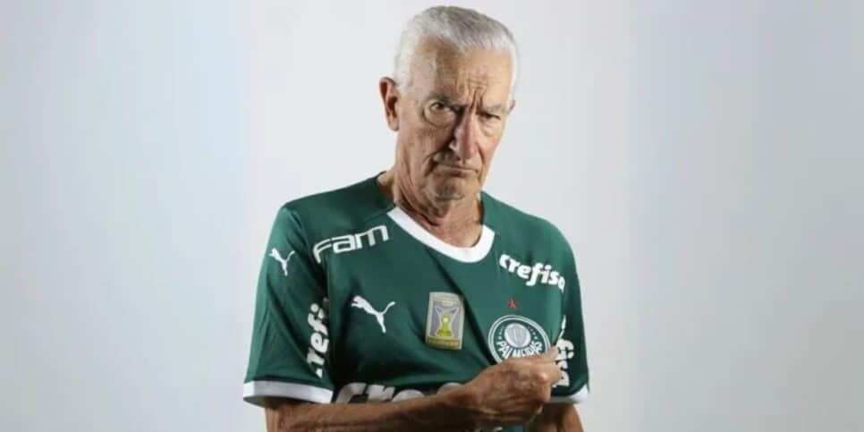 Dudu, Palmeiras