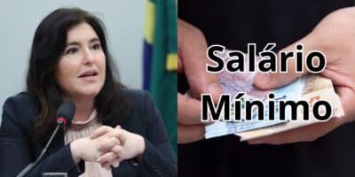 Simone Tebet comentou sobre lei que atinge salário mínimo e idosos (Reprodução: Montagem TV Foco)