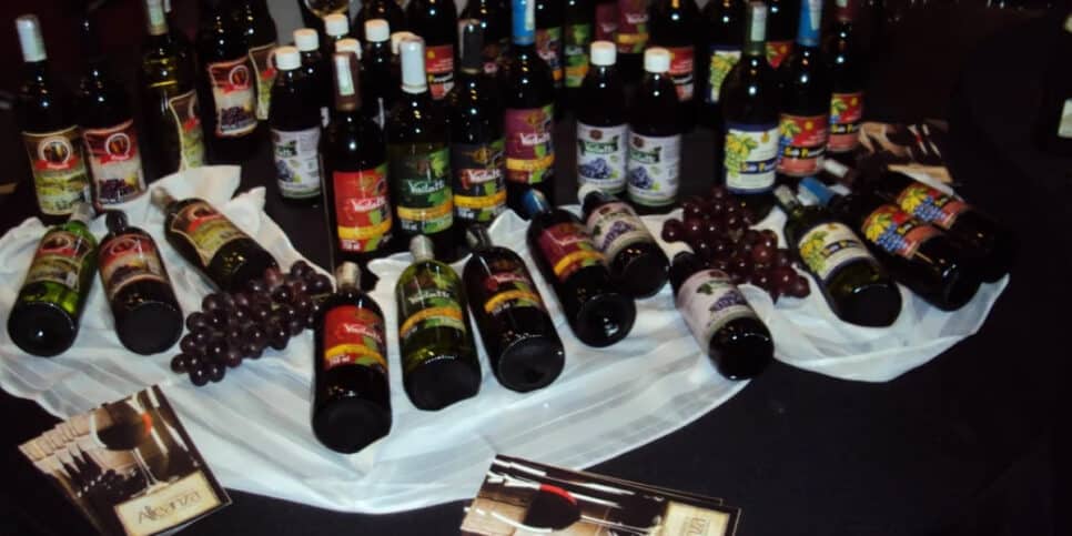 Produtos da Vinícola Alleanza (Foto: Divulgação)