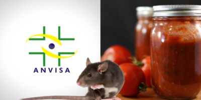 A proibição da Anvisa contra dois molhos de tomate (Foto: Reprodução/ Internet)