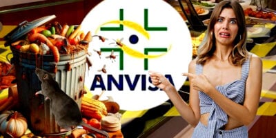 Imagem do post 100 kg de comida podre, ratos e baratas: A interdição da ANVISA contra restaurante nº1 em Shopping no RJ