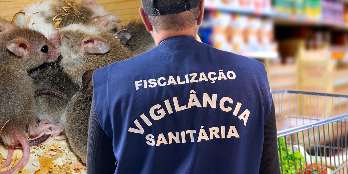 Anvisa - Vigilância Sanitária - Rato - Mercado (Foto: Reprodução, Montagem - TV Foco)