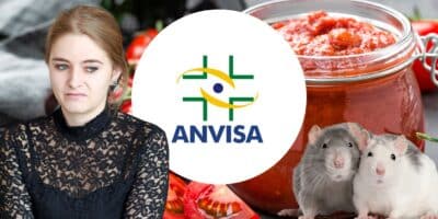 Anvisa já proibiu marcas amadas de molho de tomate (Fotos: Reproduções / Canva / Internet)