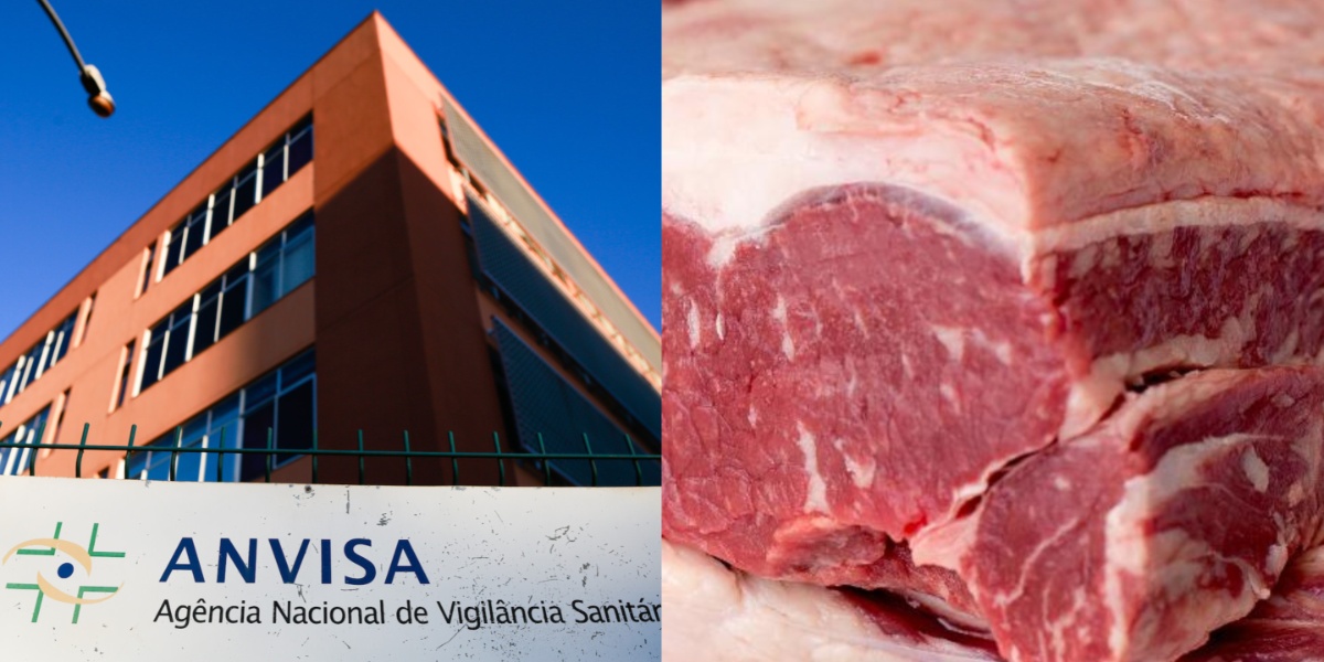 Anvisa proíbe marca popular de carne por flagra de bactéria FATAL (Foto: Reprodução/ Internet)