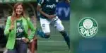 Palmeiras - Montagem Tv Foco