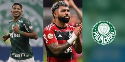 Palmeiras - Montagem Tv Foco