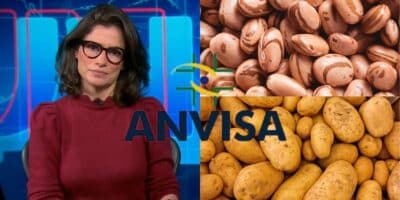 Renata Vasconcellos no Jornal Nacional, Batata, Feijão e Anvisa (Reprodução - Internet)