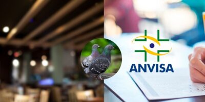 Imagem do post Carne de pombo: Globo desmascara restaurante popular por nojeira e confirma interdição urgente da ANVISA