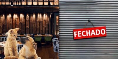 Restaurante, gato, cachorro e loja fechada (Fotos: Reproduções / Canva)