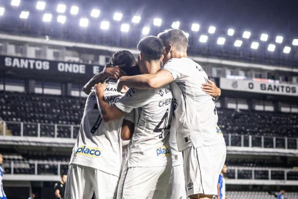 Jogadores do Santos - (Foto: Reprodução / Internet)