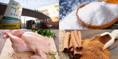 Anvisa faz alerta para essas marcas de frango, canela e sal (Foto: Divulgação)