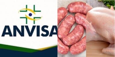 Anvisa proíbe 2 marcas de salsicha, frango e +1 - (Foto: Montagem / TV FOCO)