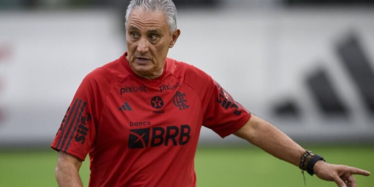 O técnico de futebol do Flamengo, Tite (Foto: André Durão)