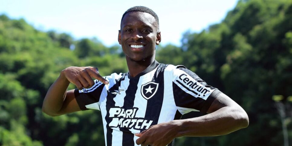 Luiz Henrique, do Botafogo (Foto: Divulgação)