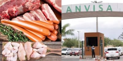 Anvisa proíbe às pressas 3 marcas populares de carne, frango e salsicha -
(Foto: Montagem / TV FOCO)