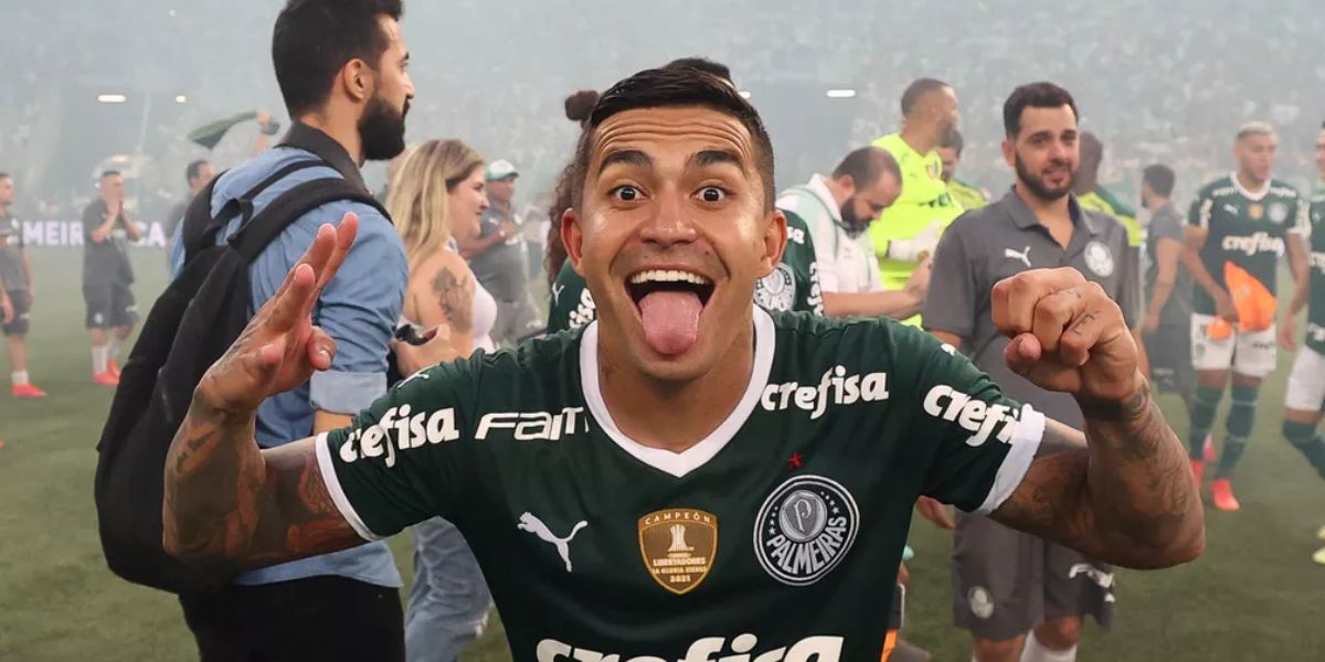 Dudu é multicampeão pelo Palmeiras (Foto: César Greco)