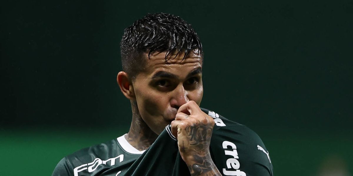 Dudu não teve lesão detectada pelos médicos do Palmeiras (Foto: Marcos Ribolli)