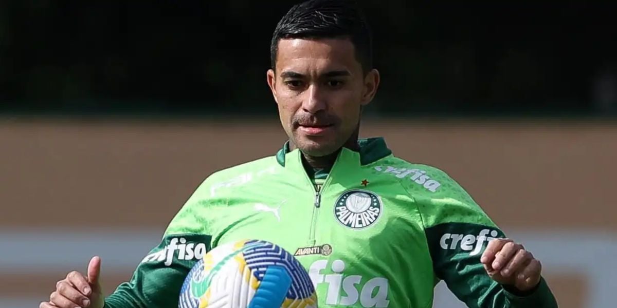 Dudu, Palmeiras