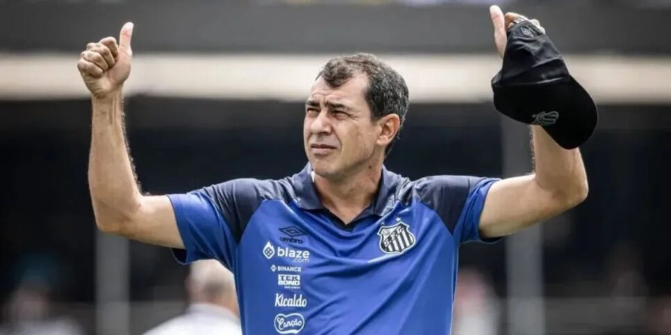 Fábio Carille  é o atual técnico de futebol do Santos (Reprodução: Raul Baretta/Santos FC)