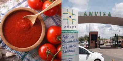 Anvisa faz proibição urgente contra duas marcas de molhos de tomate  - (Foto: Montagem / TV FOCO)