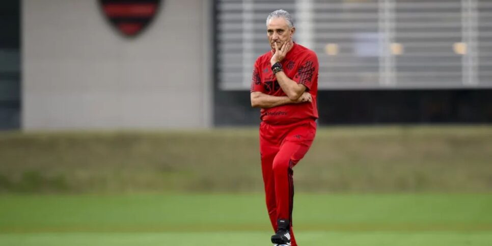 Tite tem muitas peças para compor o elenco (Reprodução: Marcelo Cortes/Flamengo)