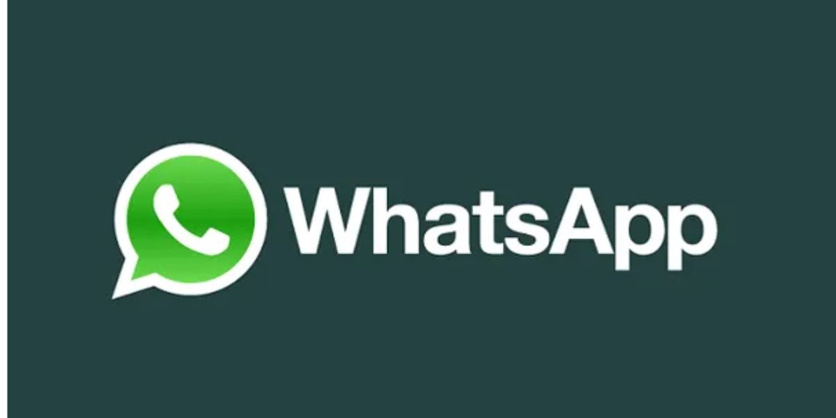 WhatsApp é o principal aplicativo no Brasil nos dias de hoje (Reprodução: Internet)