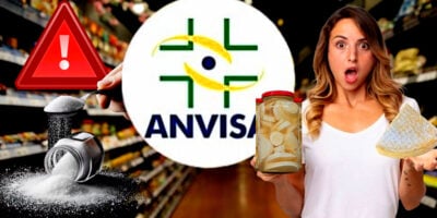 Imagem do post Vômito e diarreia: Anvisa emite comunicado com proibição de queijo, sal e palmito popular e confirma retirada