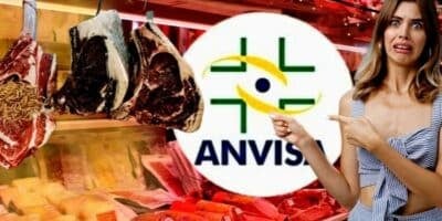 Anvis - Anvisa - (Foto Reprodução/Montagem/Lennita/TV Foco/Canva/Pinterest/Metrópoles) (Foto Reprodução/Montagem/Lennita/TV Foco/Canva/Pinterest/Metrópoles)