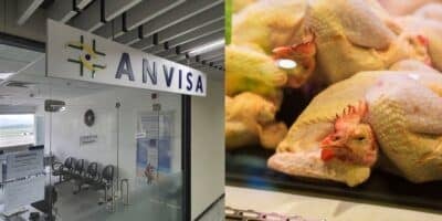 Anvisa / Frango - Montagem: TVFOCO