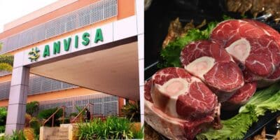 Anvisa e carne - Foto Reprodução Internet