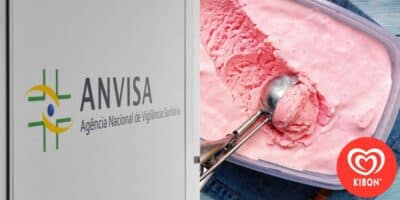 Anvisa proíbe marca de sorvete rival da Kibon (Foto: Reprodução/ Internet)