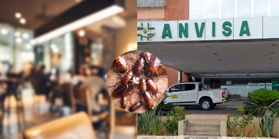 Restaurante / Baratas / Anvisa - Montagem: TVFOCO