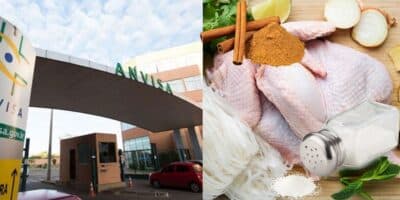 ANVISA proíbe marcas de frango, sal e canela (Reprodução/Montagem/Portal Gov/Canva)