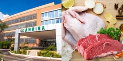 Anvisa proíbe 2 marcas de carne e frango (Reprodução/Gov/Canva)