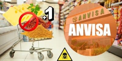 Queijo, tempero e mais 1 produto popular barrados dos supermercados pela Anvisa (Foto: Reprodução / Canva / Montagem TV Foco)