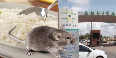 Imagem do post Fezes de rato: O decreto crucial da Anvisa contra marca de arroz amada e retirada às pressas dos mercados