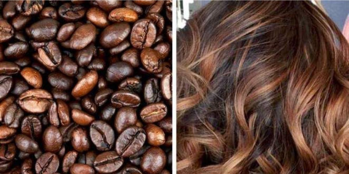 Cabelo castanho com mistura com café (Reprodução: Internet)