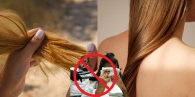 Imagem do post Adeus para a química no cabelo: 5 progressivas sem formol alisam até a raiz do cabelo e sem destruir os fios