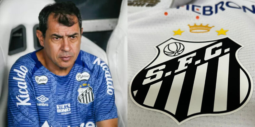 Santos prepara caminhã de reforços para Fábio Carille (Foto: Baggio Rodrigues/AGIF)