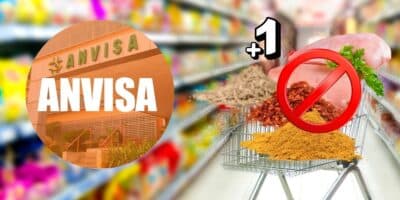 Logo da Anvisa, supermercado, tempero, frango e 1 produto popular (Foto: Reprodução / Canva / Montagem TV Foco)