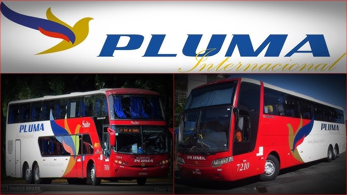 Pluma Conforto e Turismo tem falência decretada pela segunda vez (Foto Reprodução/YT