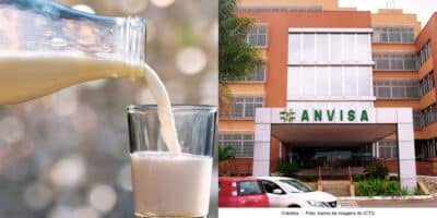 A proibição da ANVISA contra 2 marcas de leite  - (Foto: Reprodução / Internet)