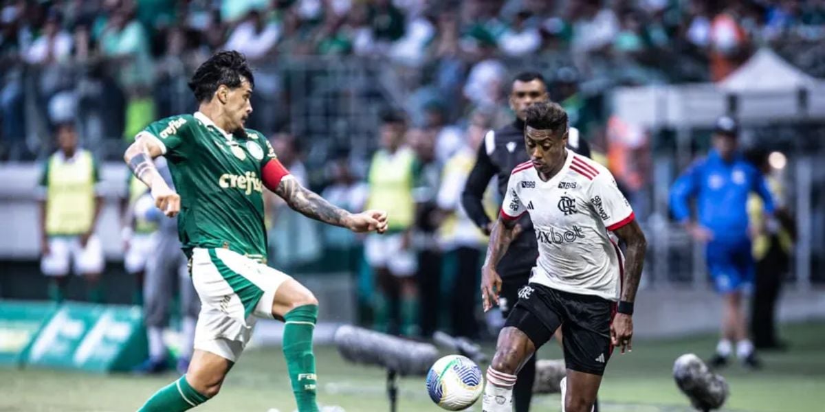 Palmeiras e Flamengo disputam a Copa do Brasil (Reprodução: Leonardo Lima/AGIF)