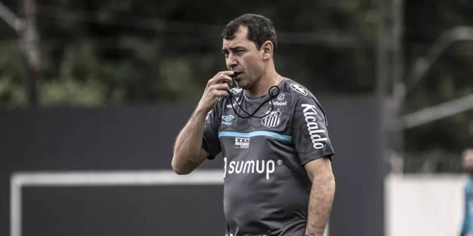 Carille não comandará o Corinthians (Reprodução: Ivan Storti/Santos FC)