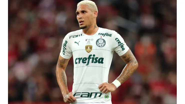 Rafael Navarro (Foto: Cesar Greco/Palmeiras)