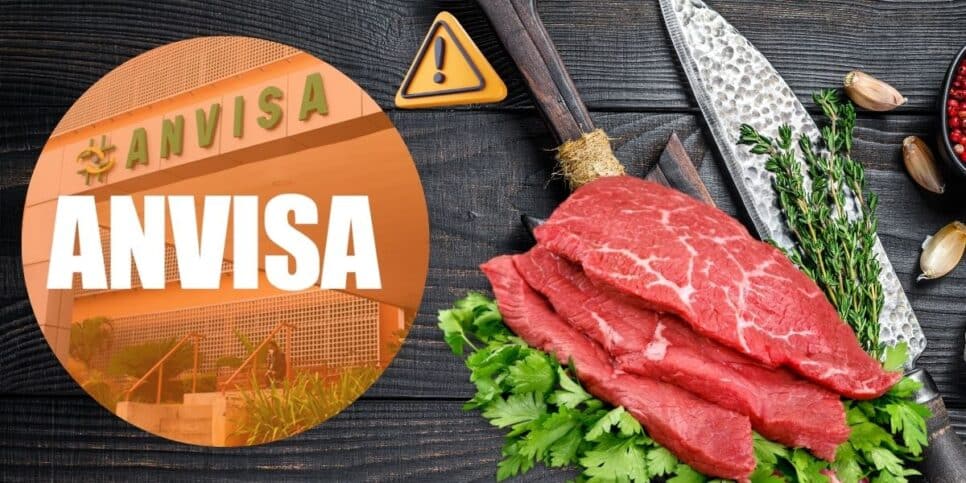 Logo da Anvisa e carne (Foto: Reprodução / Canva / Montagem TV Foco)