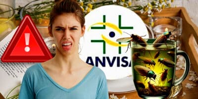 Alerta máximo da ANVISA chega após insetos e baratas serem encontrados em chás populares (Foto Reprodução/Montagem/Lennita/Tv Foco/Canva/ANVISA/Pinterest)