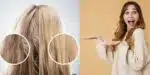 Cabelo liso com apenas 3 ingredientes (Reprodução: Montagem TV Foco)